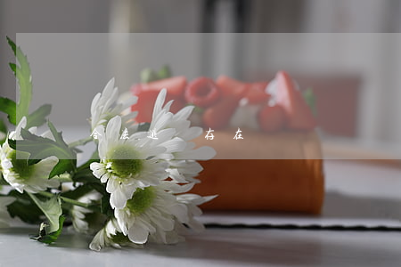 合法逃稅存在嗎？